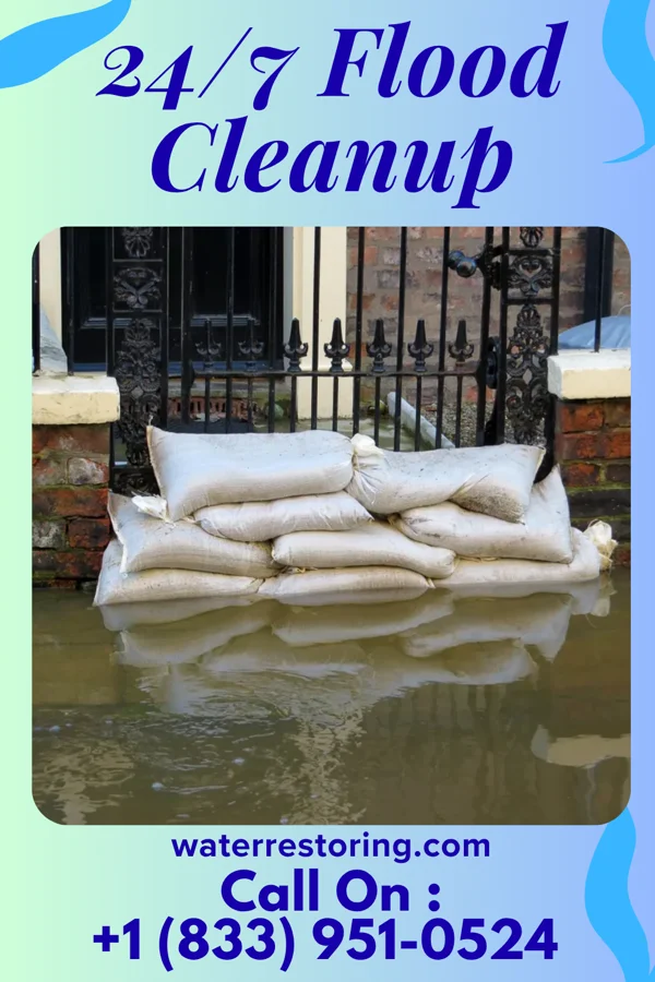 24/7 Flood Cleanup in Three Oaks, MI