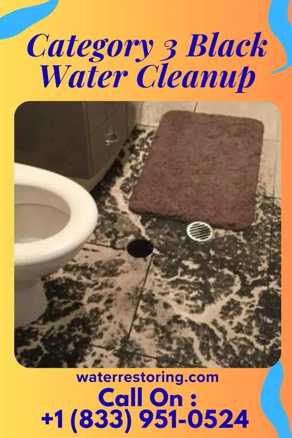 Category 3 Black Water Cleanup in Three Oaks, MI