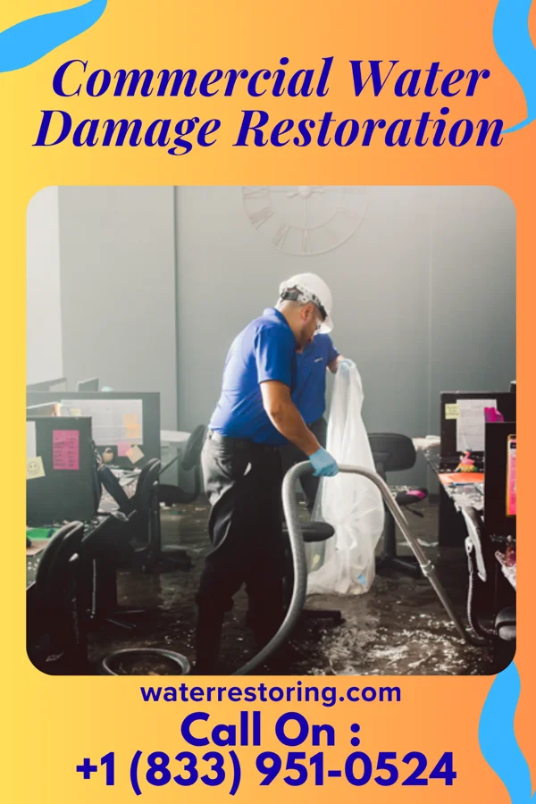 Commercial Water Damage Restoration in Three Oaks, MI
