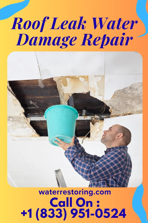 Roof Leak Water Damage Repair in Three Oaks, MI