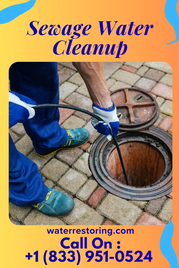 Sewage Water Cleanup in Three Oaks, MI
